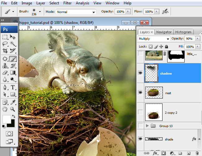 hippo, photoshop, nest, egg, shell, flying hippo, cute, baby, wings, hippopotamus, feathers